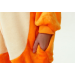  Pokemon Charmander