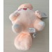 Clefairy Polemon