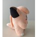 Clefairy Polemon