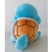 Pokémon New Laughing Squirtle