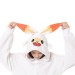 Pokemon Scorbunny 