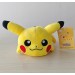 Prone  Pikachu Pokemon