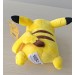 Prone  Pikachu Pokemon